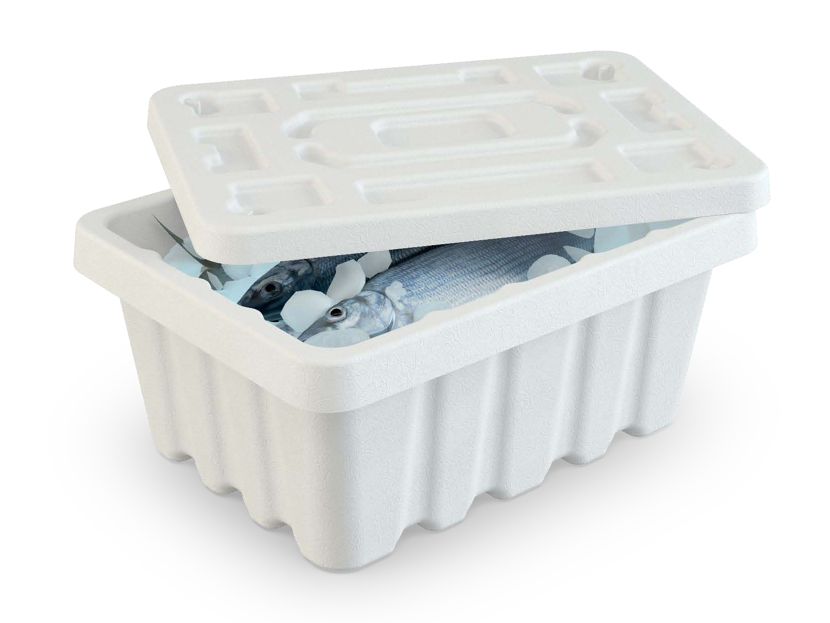 Medium 11L Fiber Box 2-piece rigid unit with friction lid