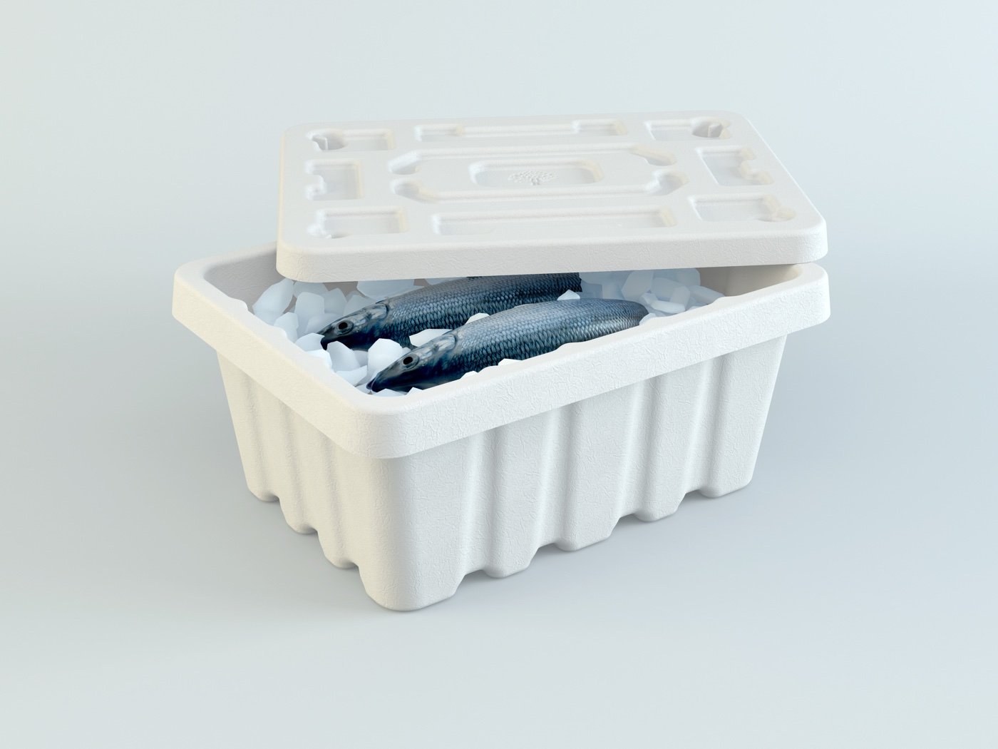 Fiber Box Medium (11L / 11.6 Qt)